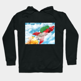 a chameleon flying on a rocket Hoodie